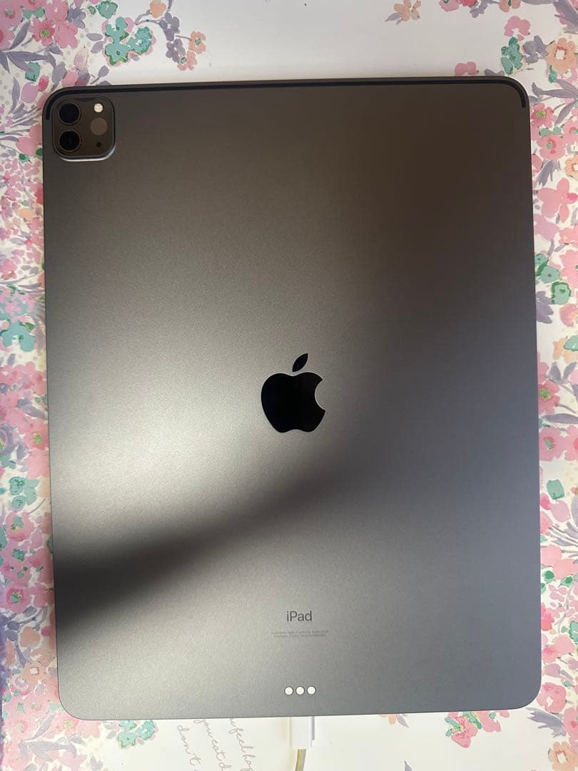 iPad Pro (12.9インチ) 第5世代　512GB