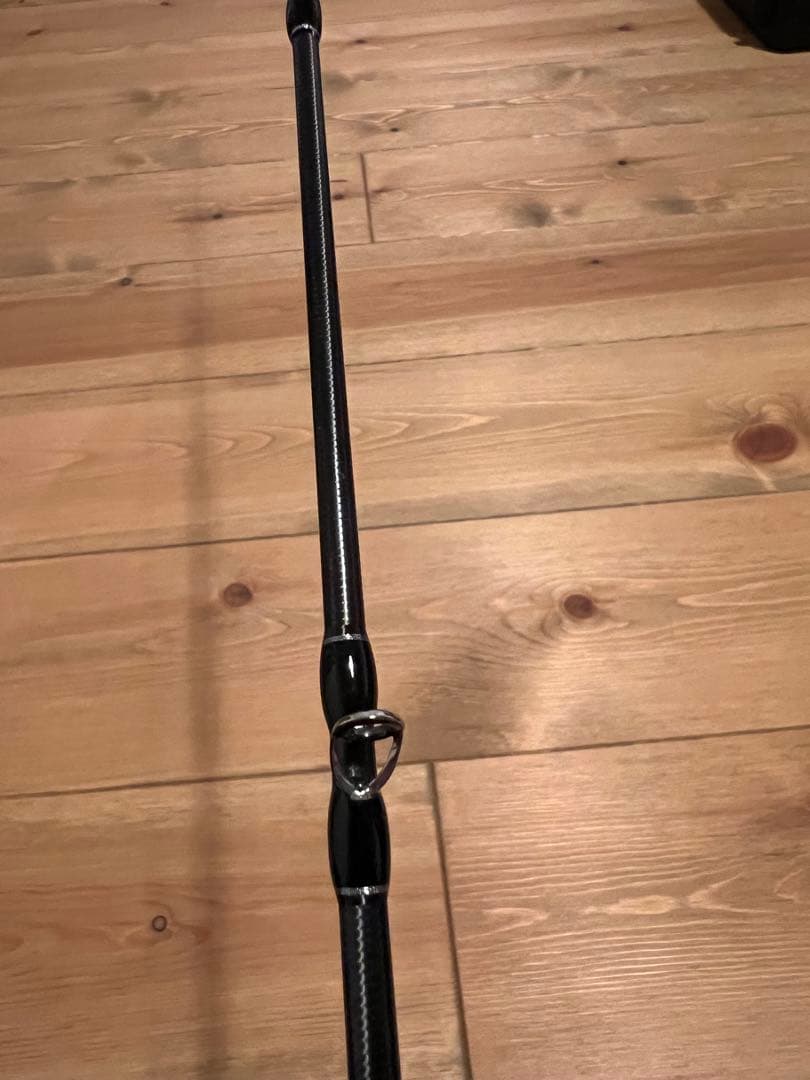 フィッシュマン ブリストマリノ9.9H