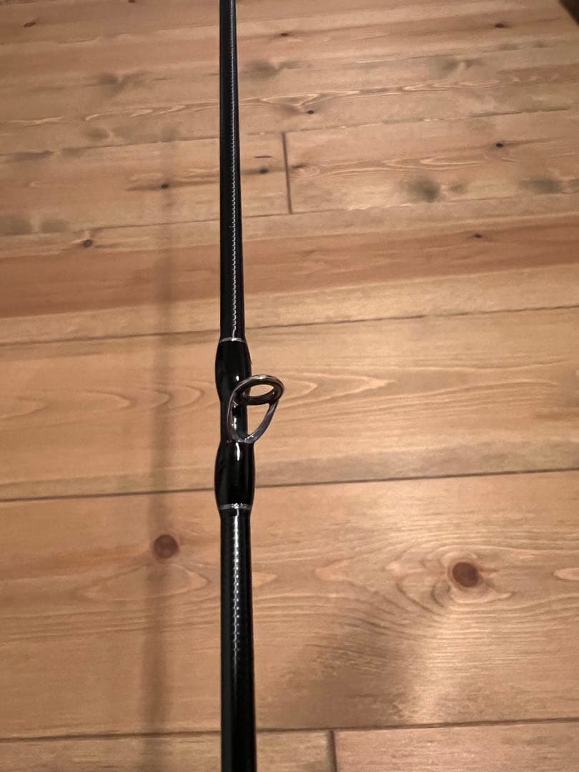 フィッシュマン ブリストマリノ9.9H