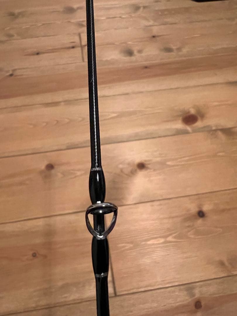 フィッシュマン ブリストマリノ9.9H