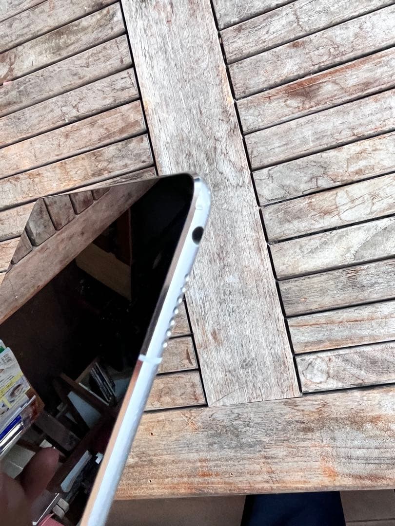 Apple iPad Pro (9.7インチ) 本体