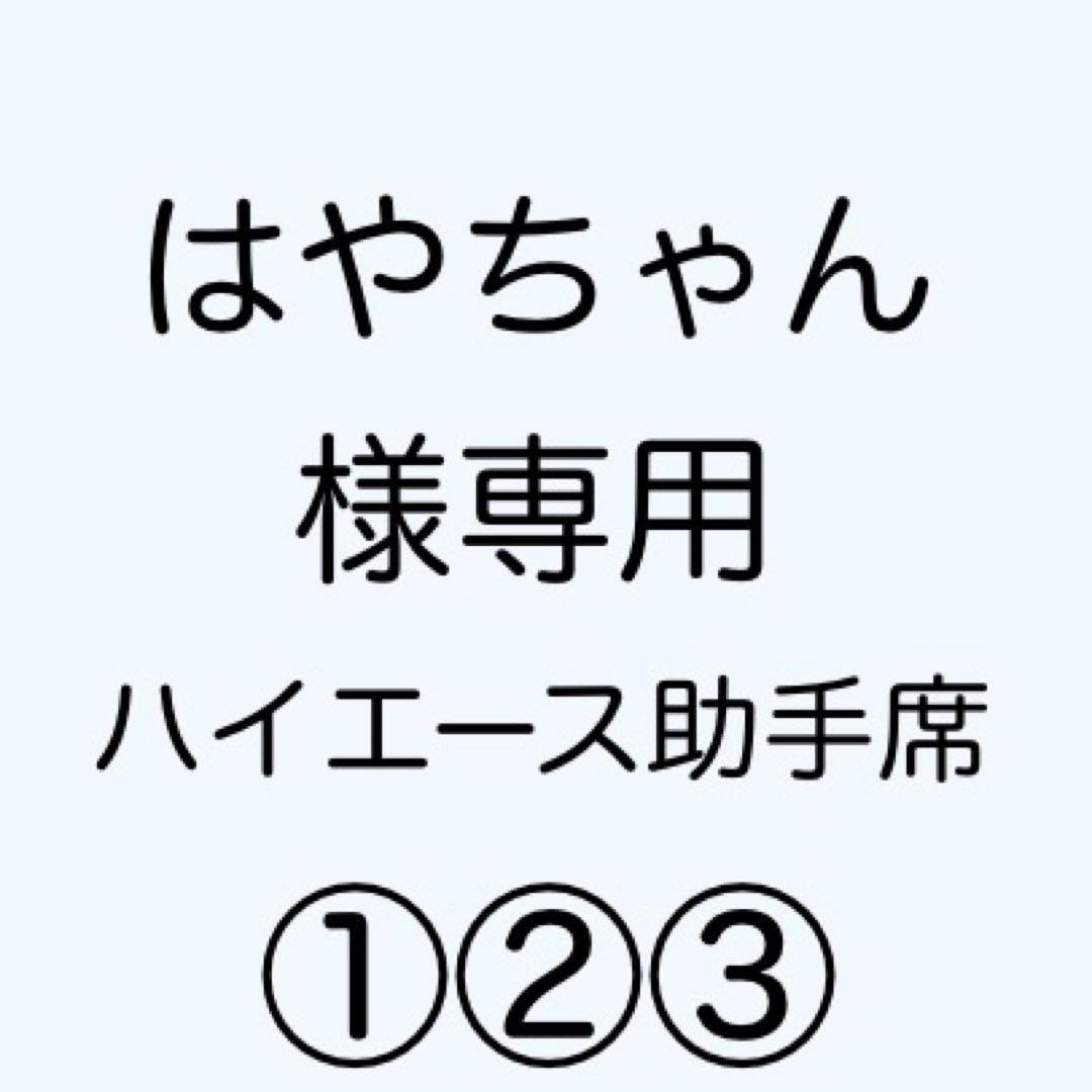 [専用出品]はやちゃん