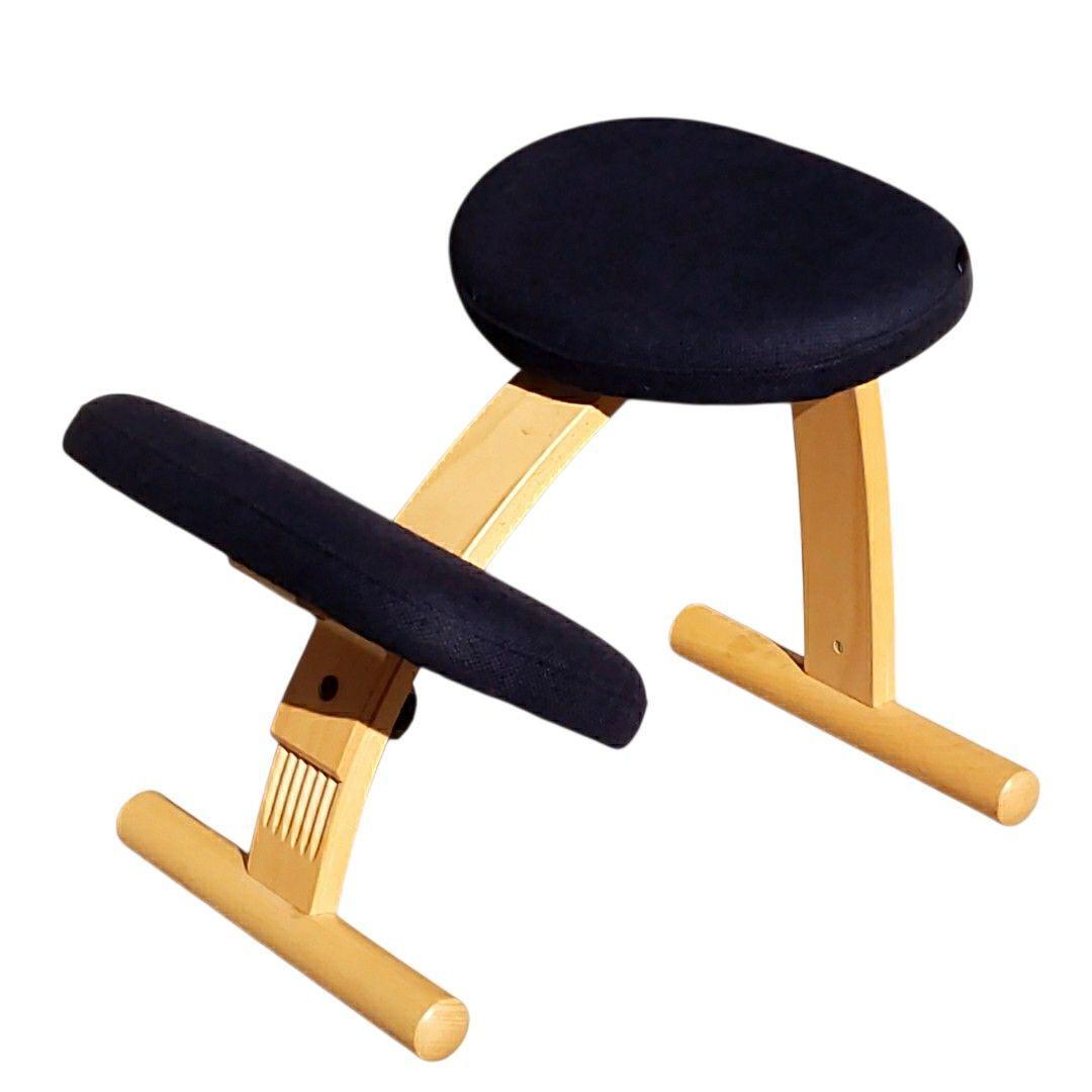 リボ バランスイージー バランスチェア ネイビー ブナ 姿勢矯正 北欧