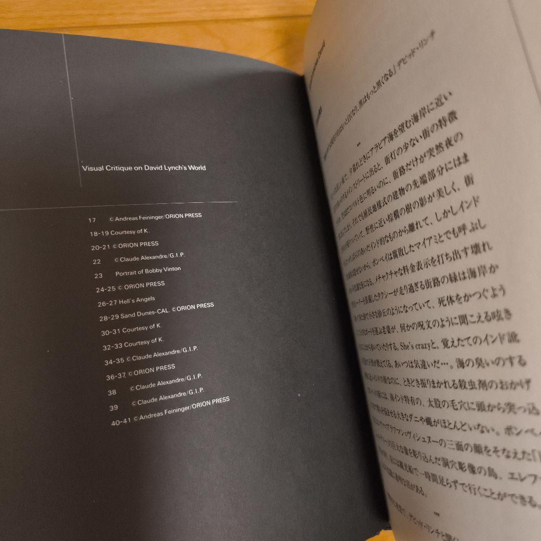 デビッド・リンチ PAINTING & DRAWINGS　David lynch