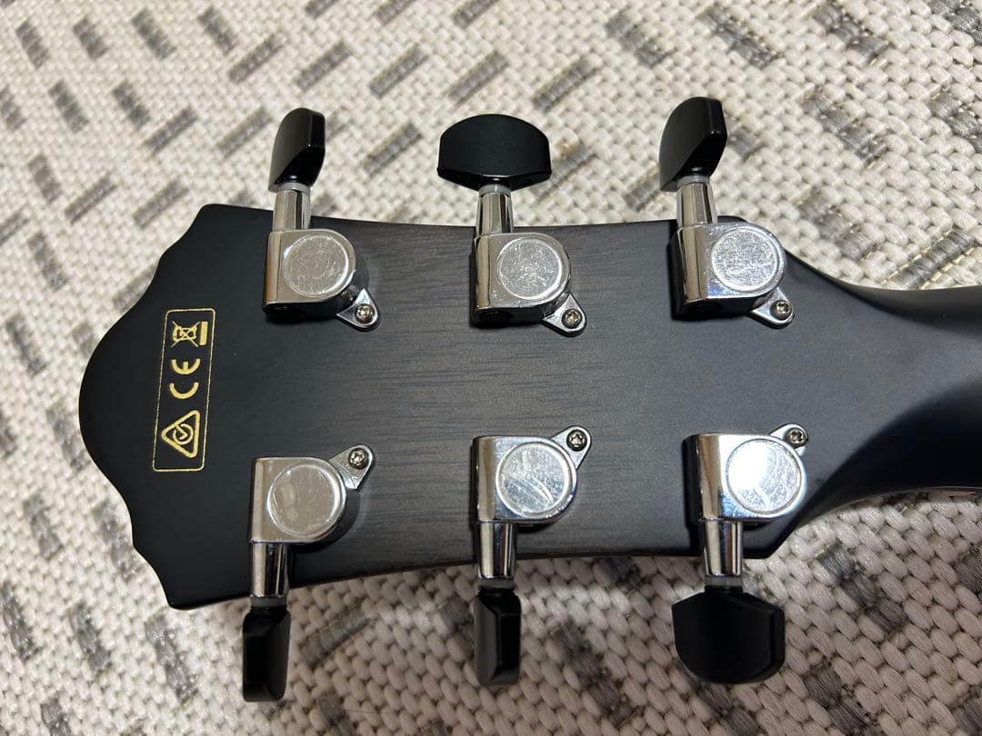 ギター Ibanez AEWC400-TKS