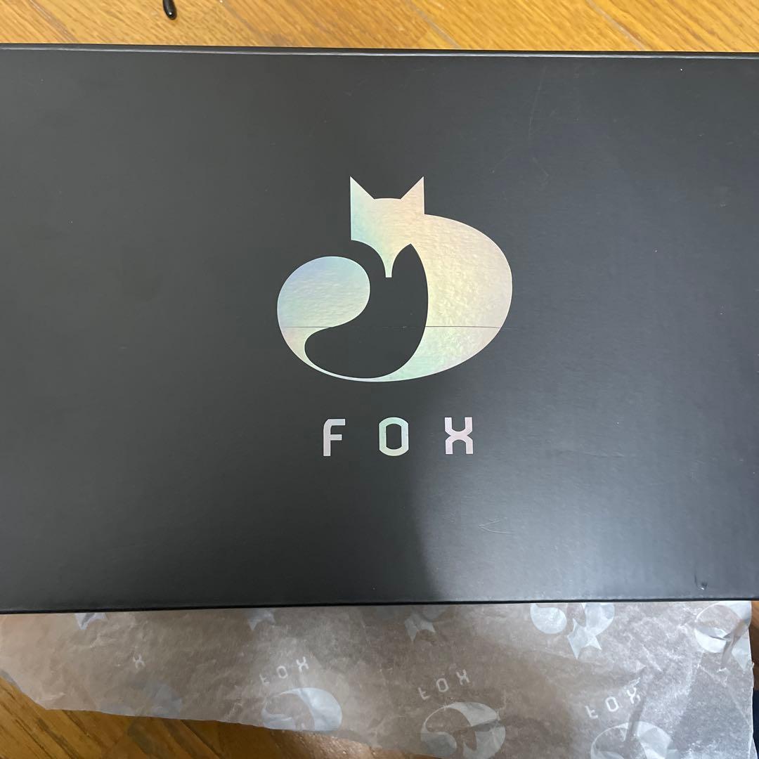 Curry Fox1 バスケットボールシューズ