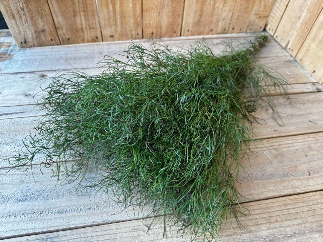 Flower lovers様 リクエスト 8点 まとめ商品