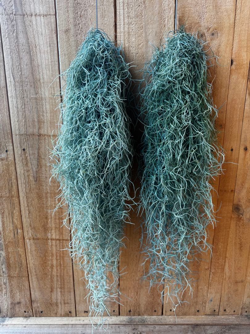 Flower lovers様 リクエスト 8点 まとめ商品