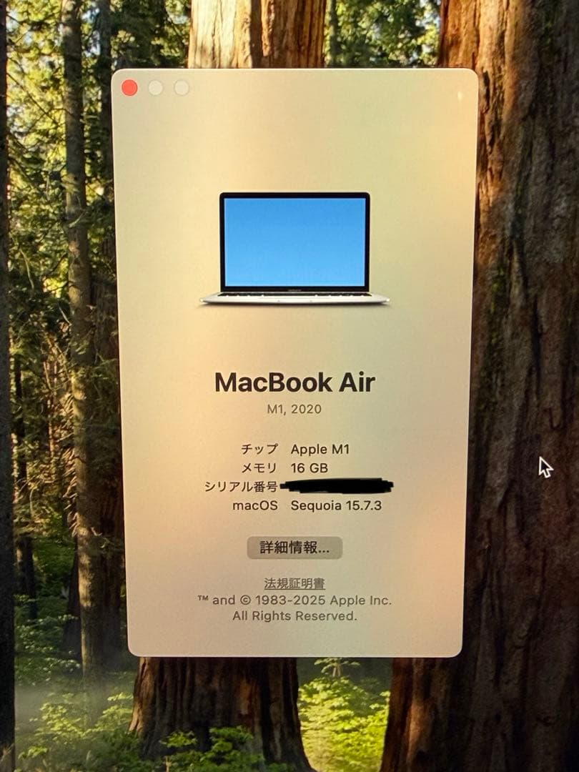 Apple MacBook Air (M1, 2020) シルバー US