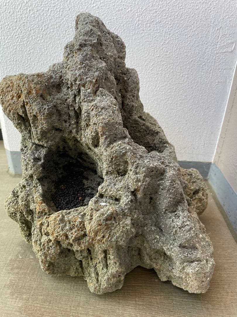 雲山石 水槽 レイアウト 溶岩石