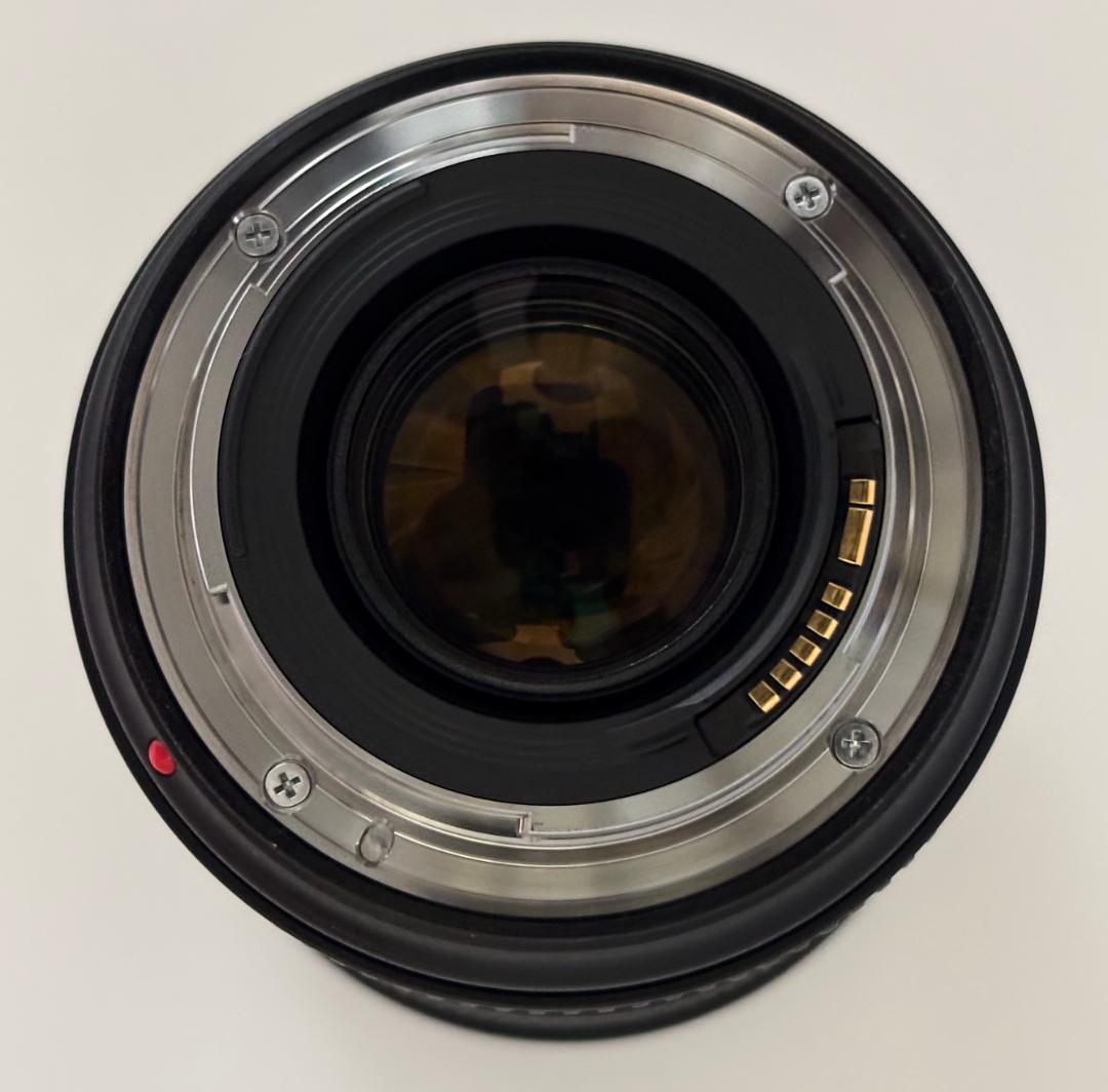 【極美品】Canon EF 24-70mm F2.8L II USM