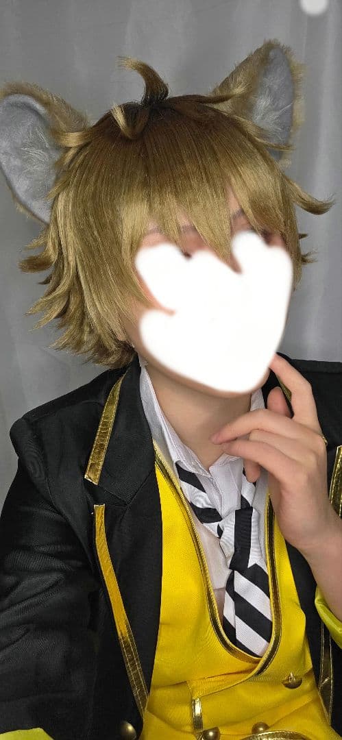 ラギーフルセット【耳、しっぽ、衣装】