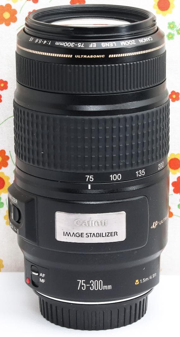 キャノン Canon EF 75-300mm IS USM☆超望遠レンズ☆