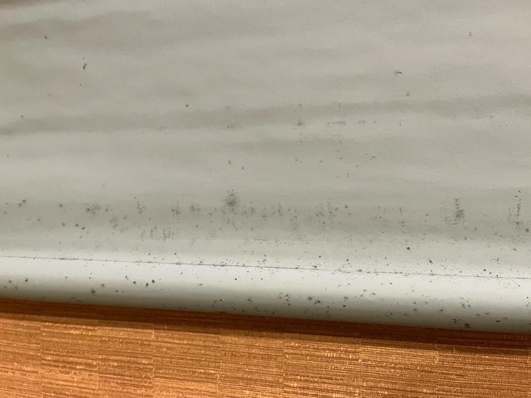 堀内宗心　横　茶掛軸　暗香　表千家　茶道具