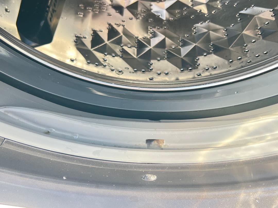 Panasonic ドラム式電気洗濯乾燥機 品番 NA-VX9500L