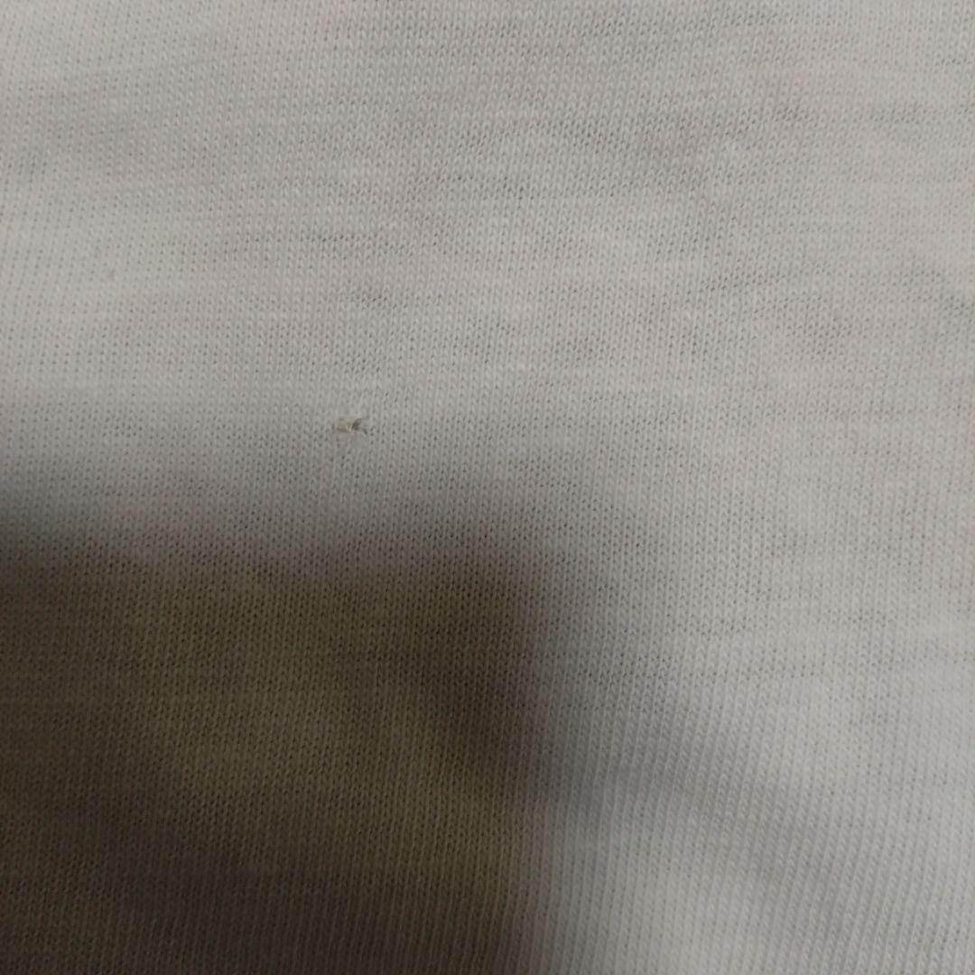 チャンピオン　トリコタグ　ビンテージ　ティシャツ