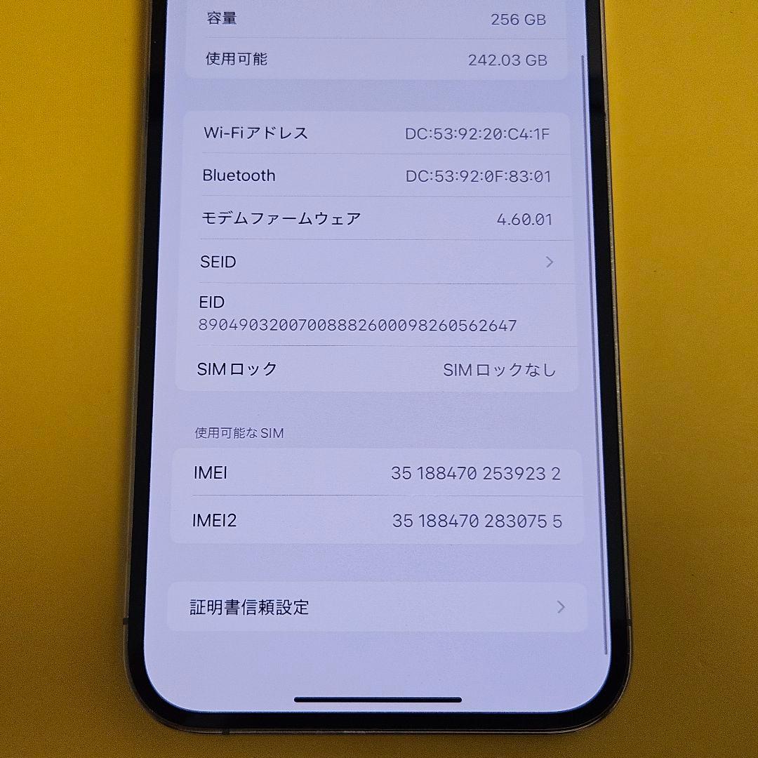 iPhone 13 Pro Max 256GB｜24時間以内発送!#232