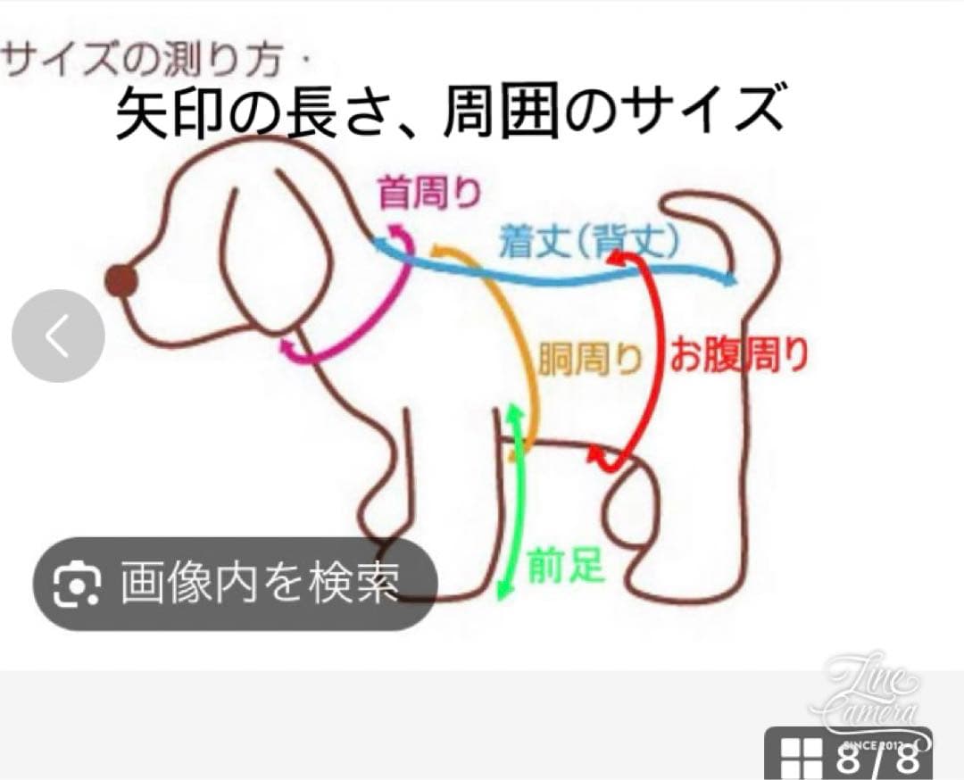 B388.pon2pan2☆犬オーダー☆お引きずりお着物☆犬2ウェイお着物