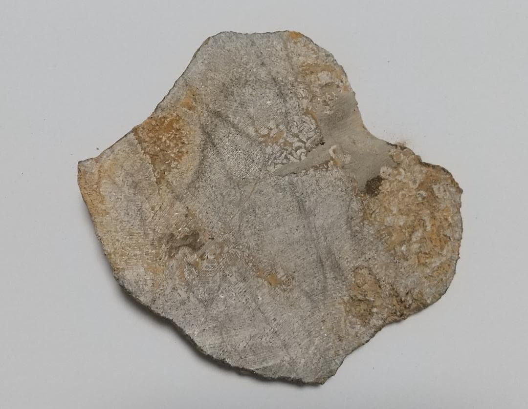 ウミユリ 化石 棘皮動物 重さ682 g 大きさ 約18x16 cm モロッコ産