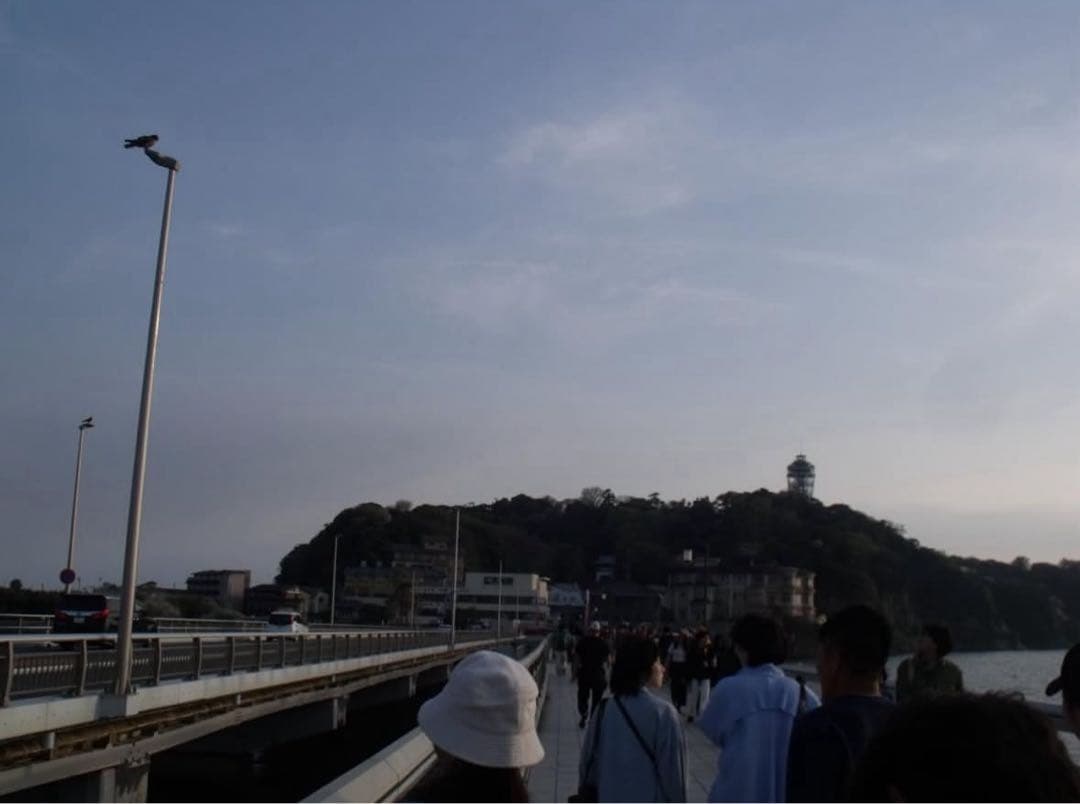 FUJIFILM FinePix S1500 デジカメ