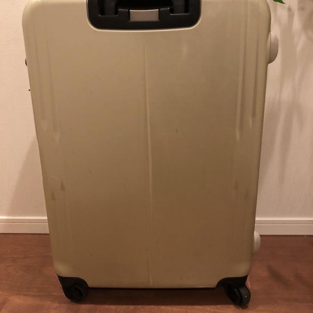 キャリーバック(大)