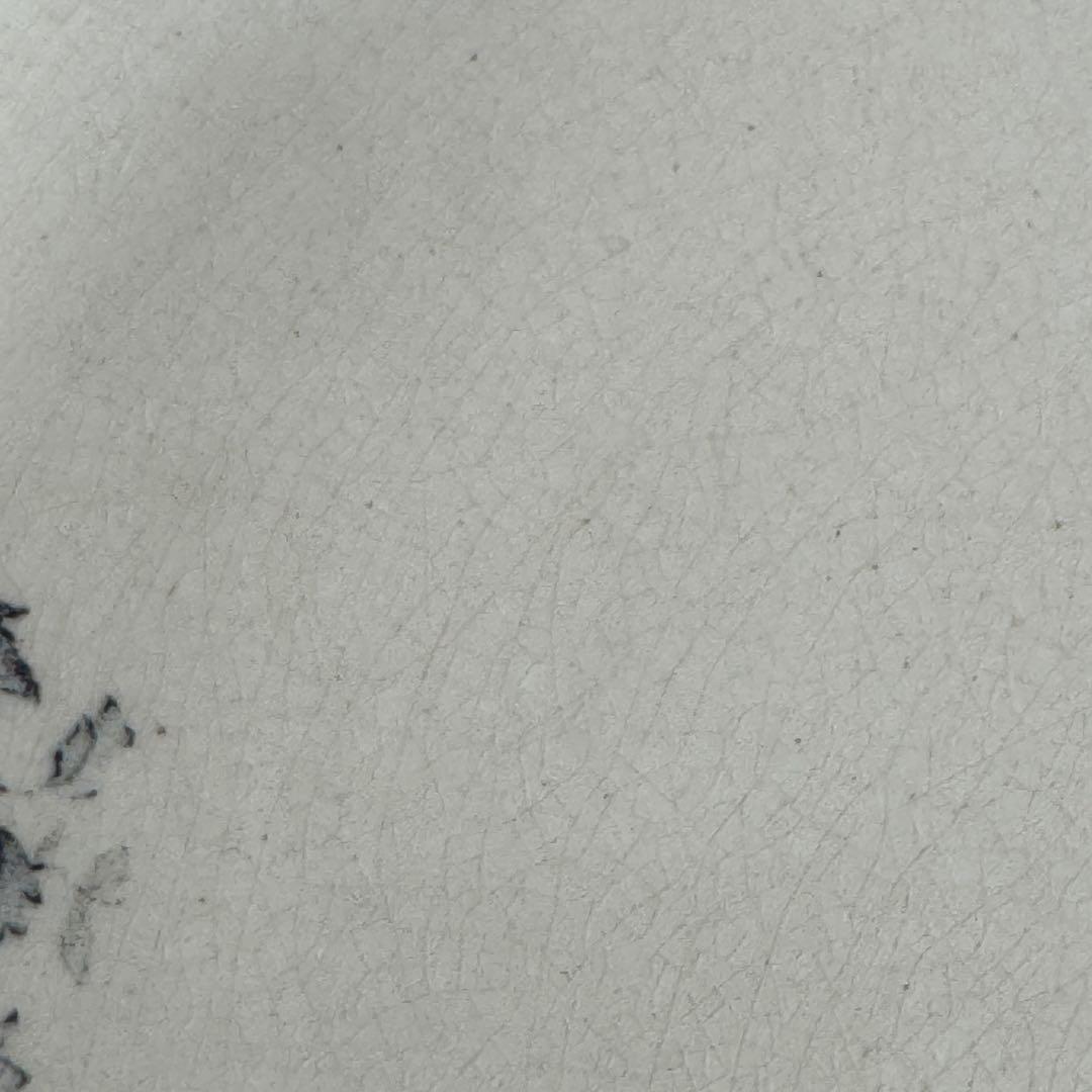 フランスアンティーク　ショワジールロウ　ETRETAT ディナープレート　2枚