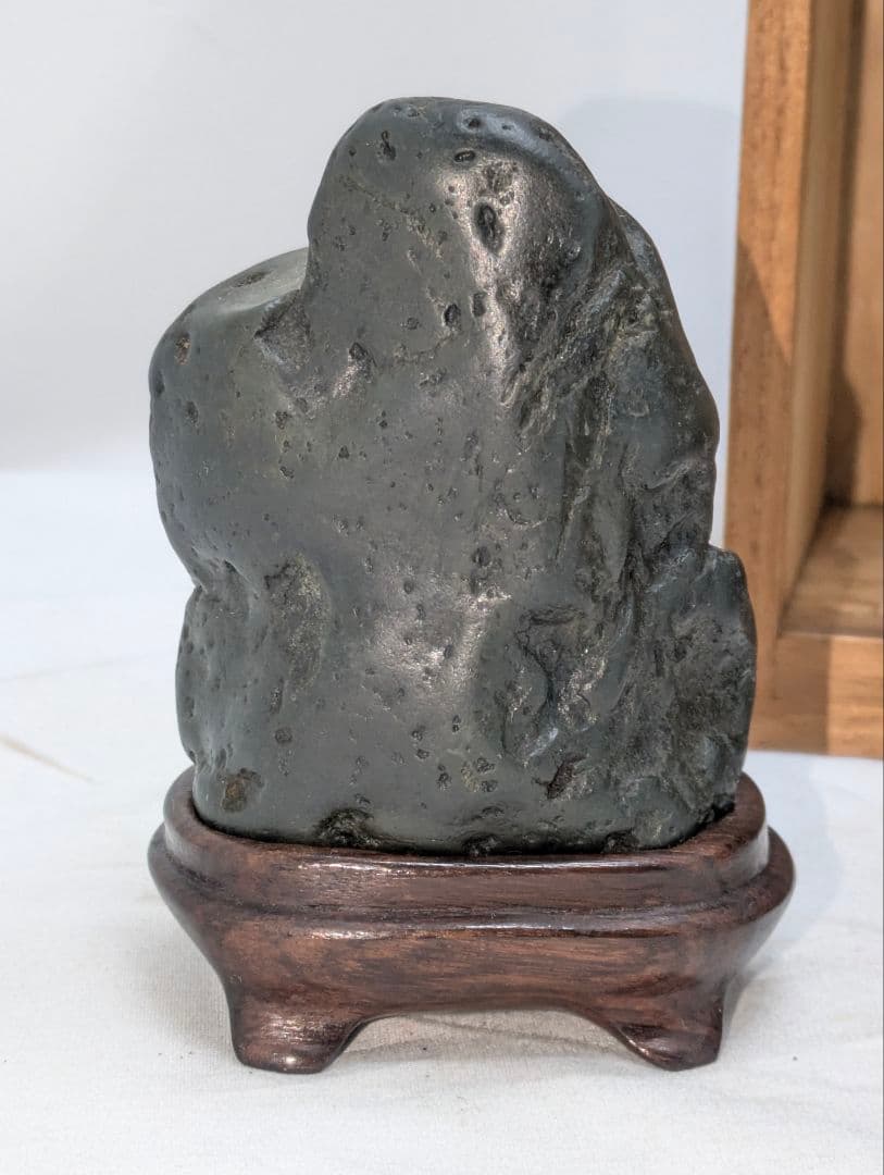 菊花石 梨地に糸菊　根尾 鑑賞石 水石 　文化財級　小林宗閑箱書き　在銘台座