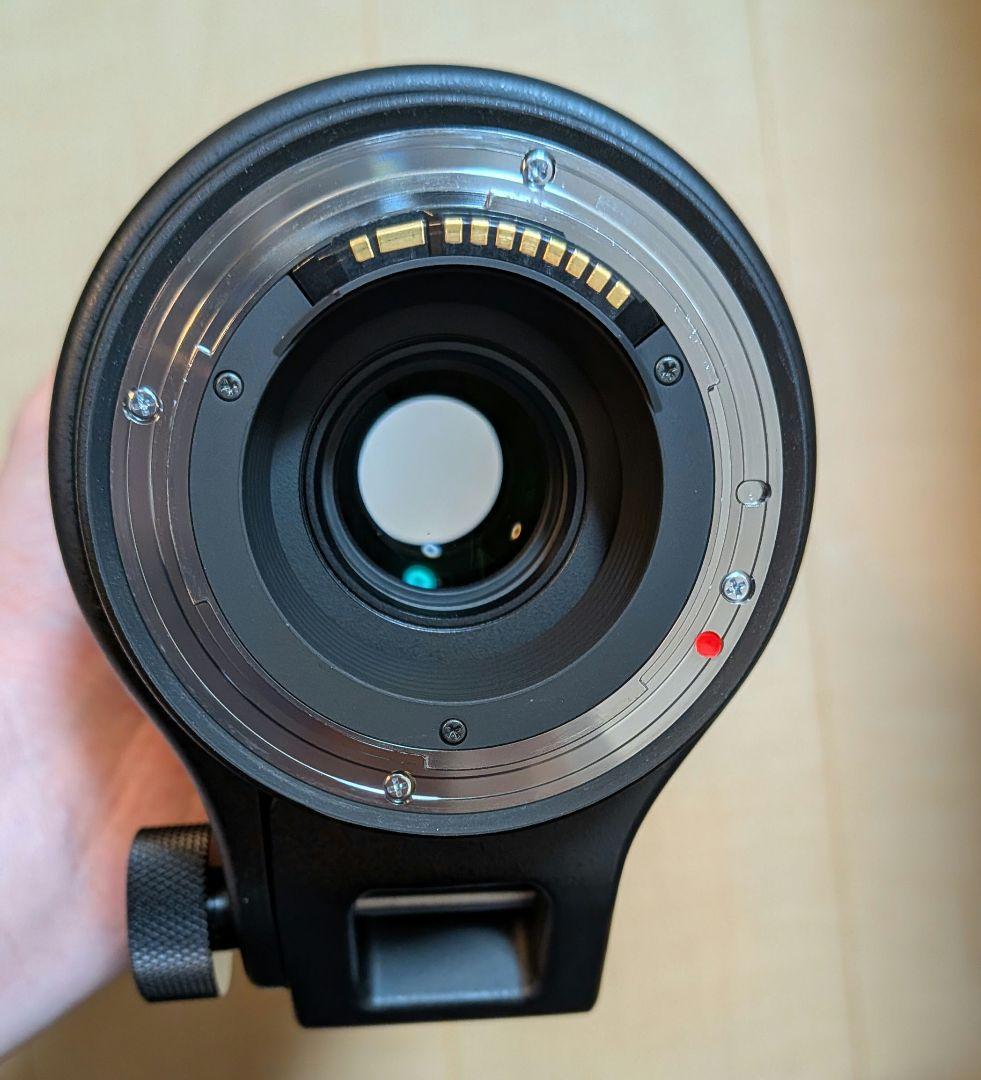 SIGMA 150-600mm F5-6.3 DG CANON EFマウント