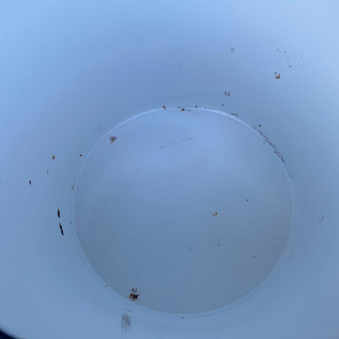 昭和レトロ 信州味噌 ホーロー缶 古道具 骨董品 インテリア コレクション