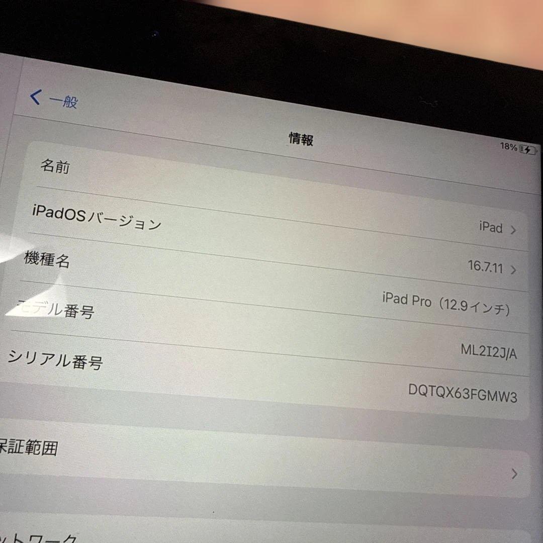 格安 大容量128GB Apple iPad Pro 12.9インチ 第1世代
