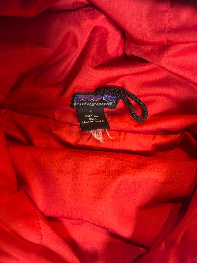 Patagonia パーカー　ブルーリボン