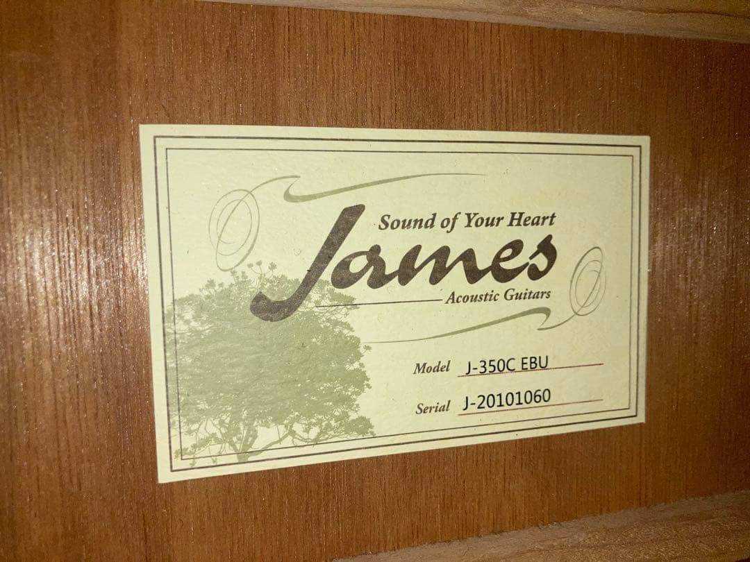 James J-350C/EBU ジェームスエレアコギター