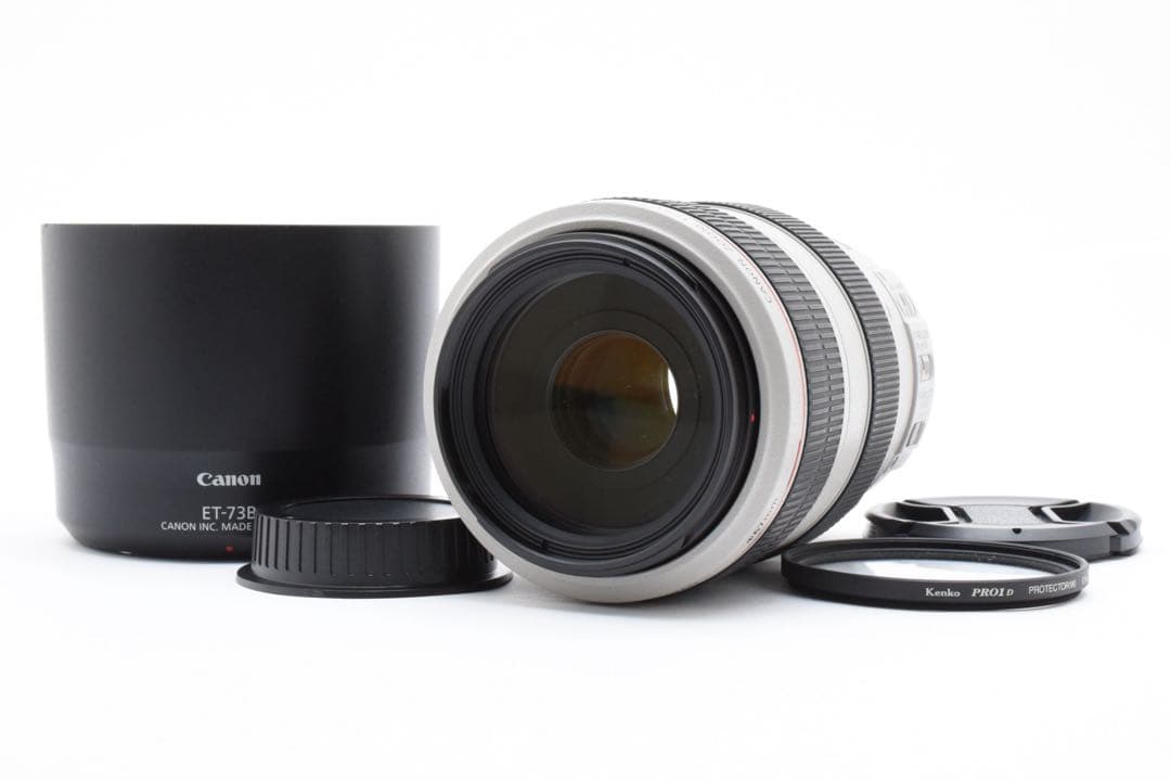 キヤノン CANON EF 70-300mm F4-5.6 LIS USM