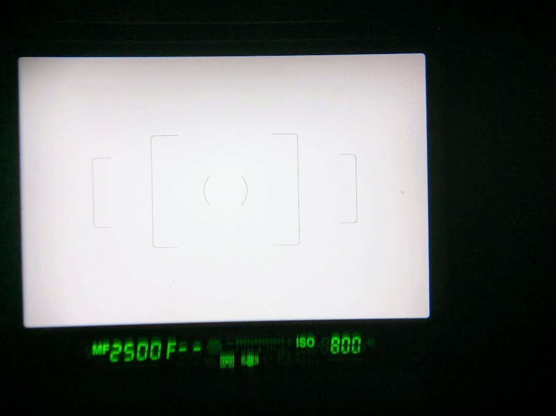 【黒死病対策、内臓電池交換】PENTAX K-30+TAMRON 18-200