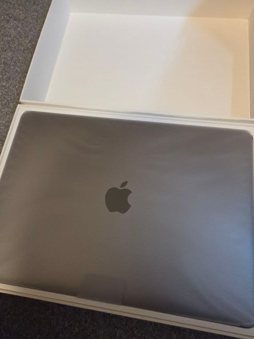 MacBook本体 Macbook Pro M1 256GB