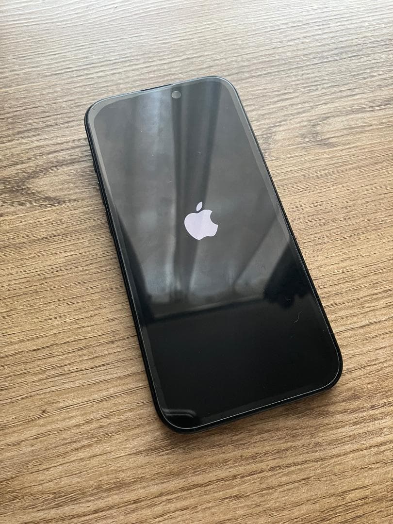 Apple iPhone 15 pro ブラック [注意点あり]