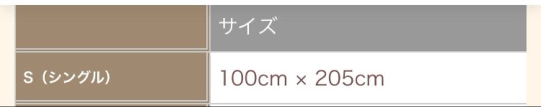 東洋羽毛　サラ敷きパッド　2枚セット