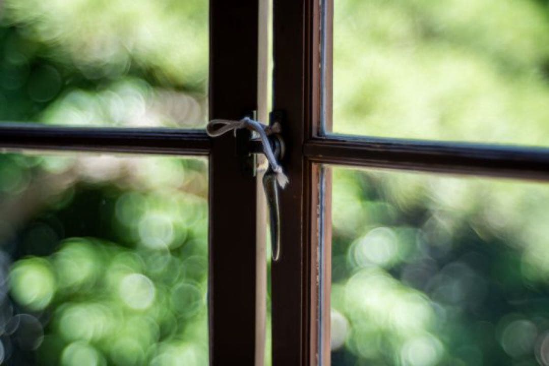 レンズ(単焦点) Meyer Optik Gorlitz Primoplan75mmF1.9 II