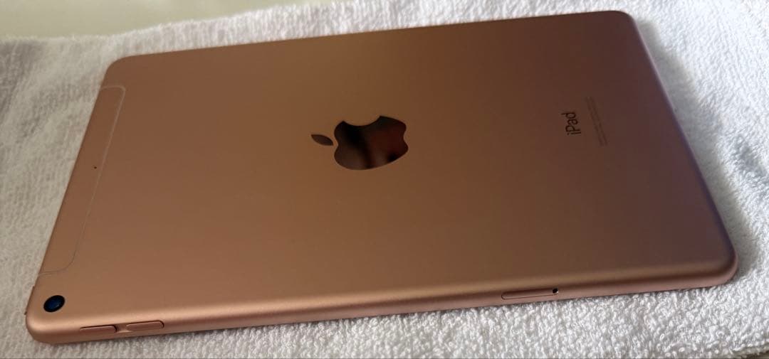 iPad mini 7.9インチ第5世代 Wi-Fi+Cellular 64GB