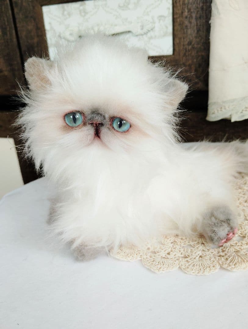 ヒマラヤン♡子猫のミミちゃん♡アートドール♡ぬいぐるみ♡