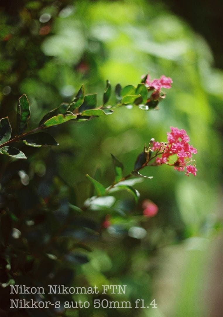 Nikon FTN◆nikkor f1.4★完動品＊美品＊初期保証★作例多数