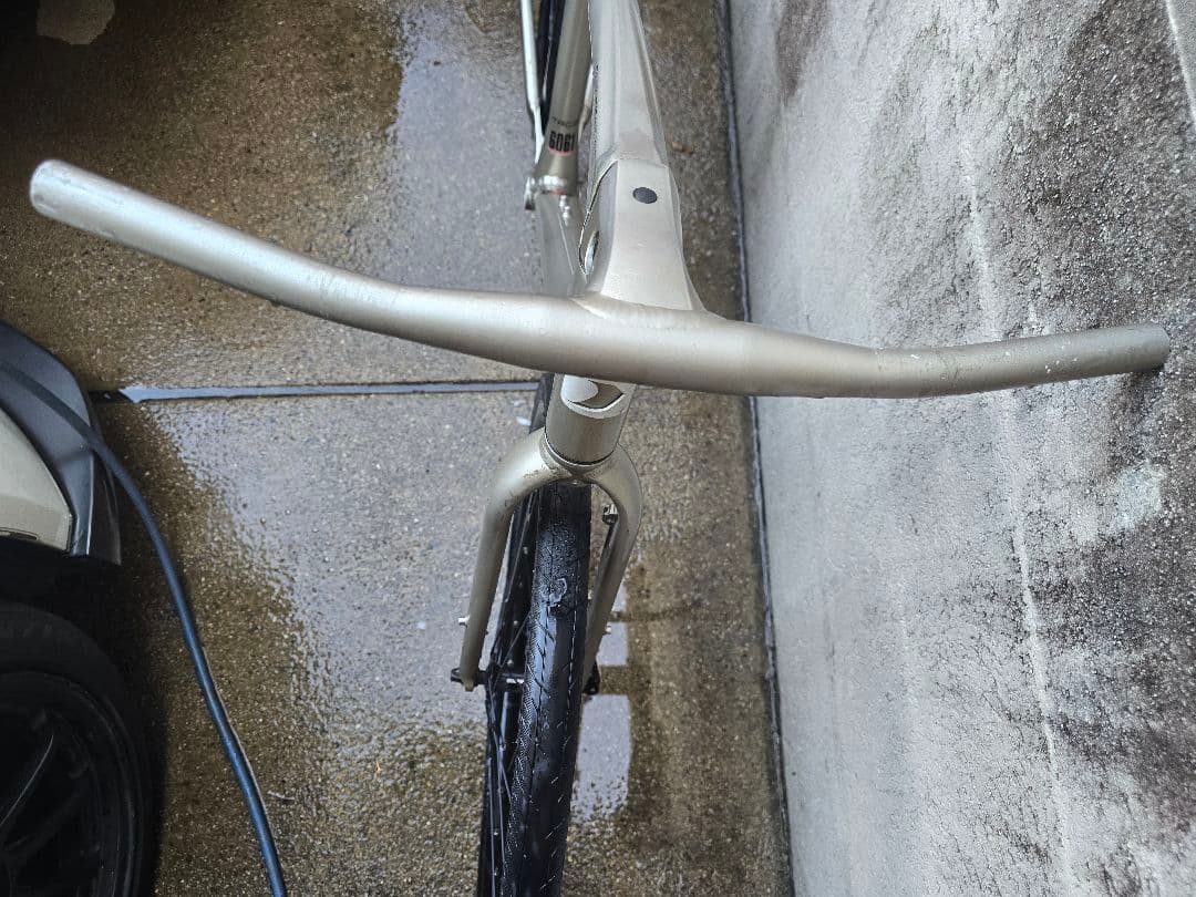 ルイガノ　LGS-TRC1　フレームセット