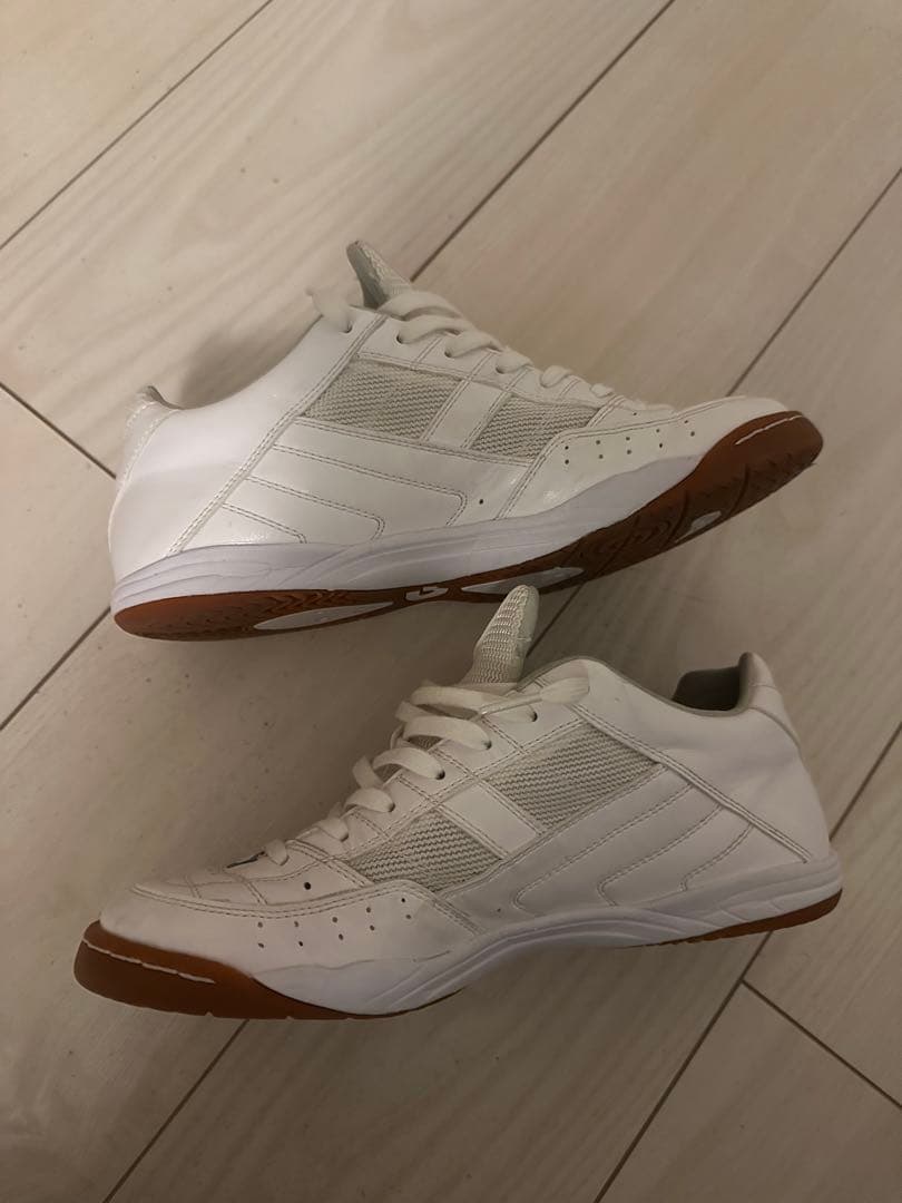 【本日限定値下げ】デスポルチ　テッサライトID3