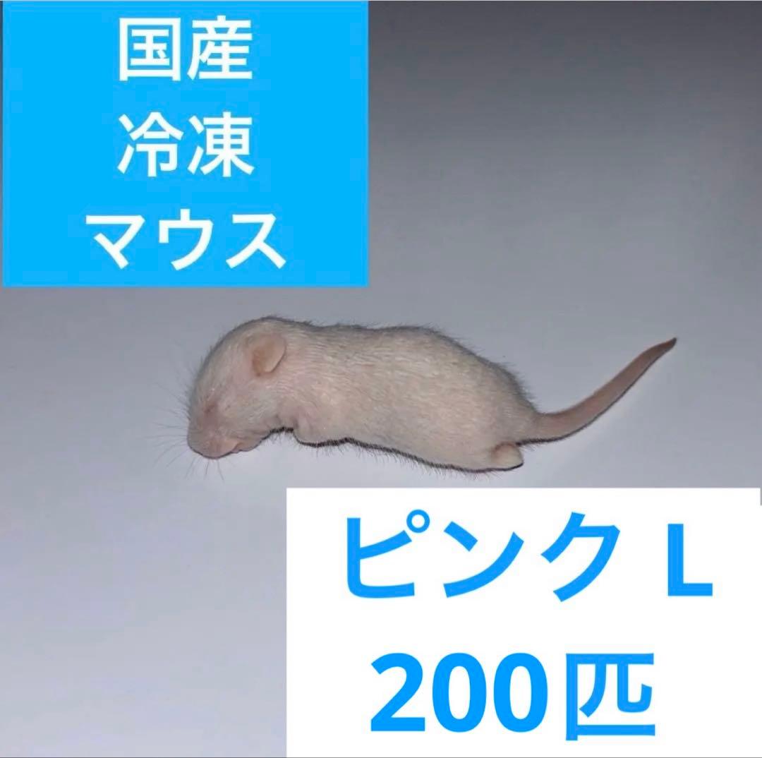 クルス　冷凍マウス　ピンクL200匹