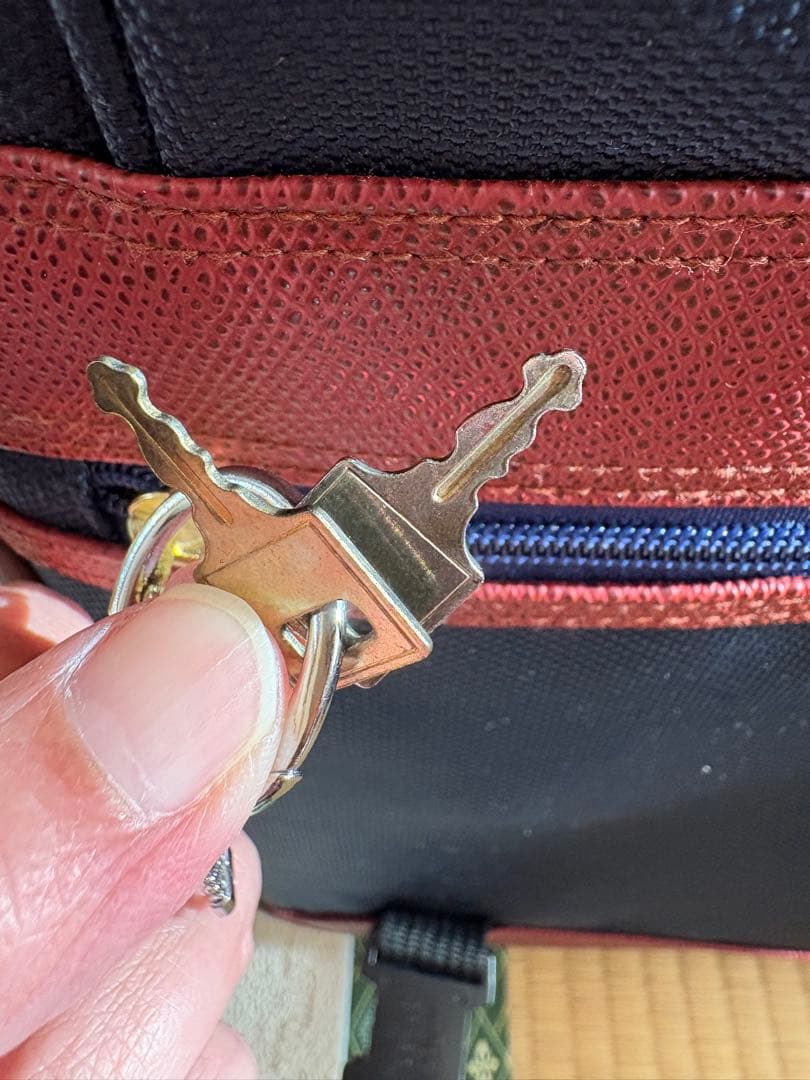 ANA キャリーケース サブバッグ、ガーメントバッグ3点セット