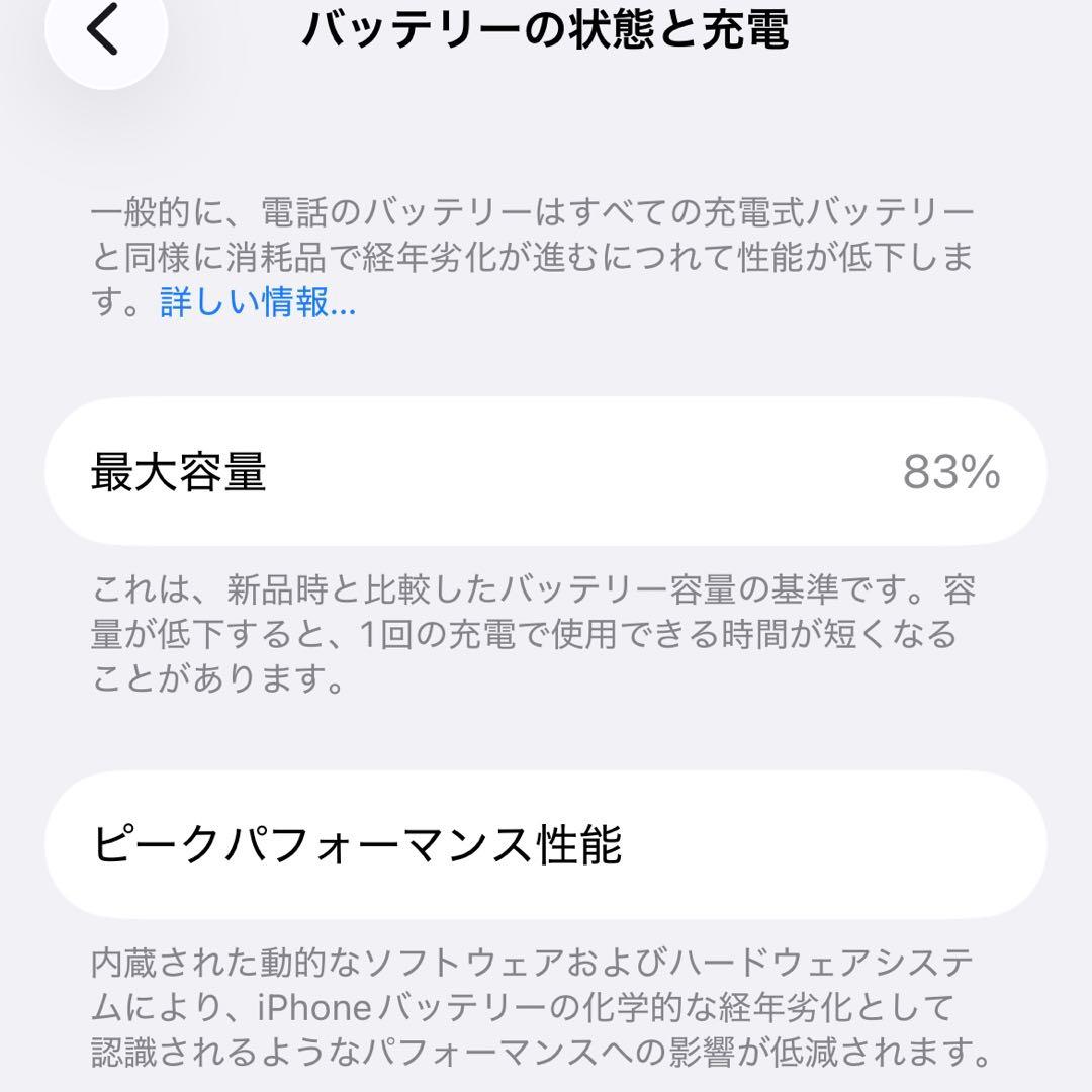 iPhone 12 Pro 256GB 香港版 SIMフリー 物理SIM2枚