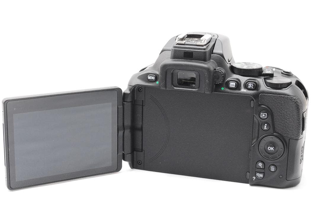 ショット数1949回✨美品Bluetooth搭載✨Nikon D5600 ダブル