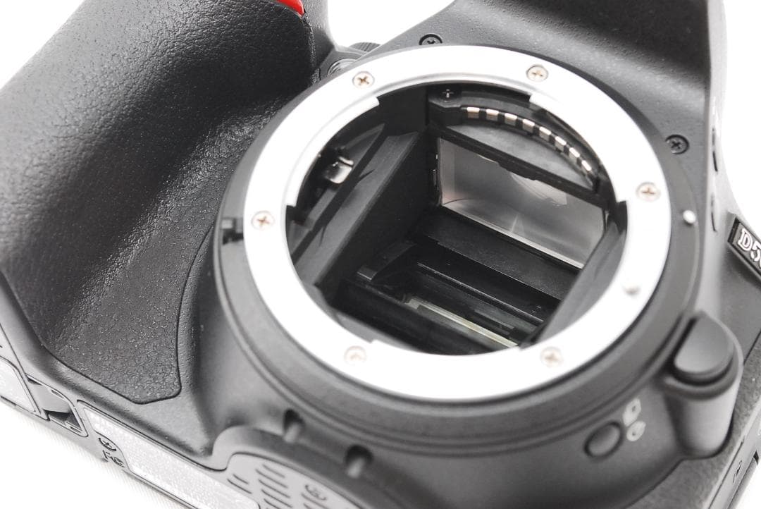 ショット数1949回✨美品Bluetooth搭載✨Nikon D5600 ダブル