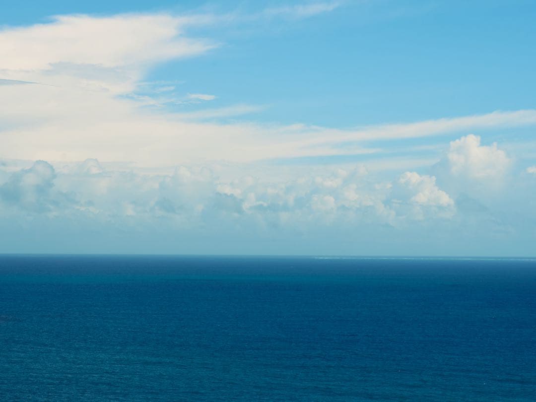 大判カメラ WISTA 45 sp レンズ Gマウントアダプターセット