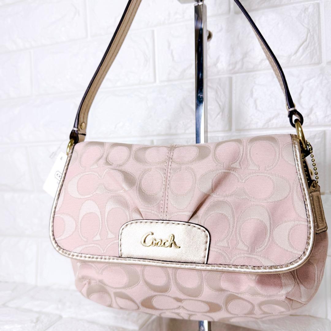 未使用✨COACH ワンショルダーバッグ アクセサリーポーチ シグネチャー